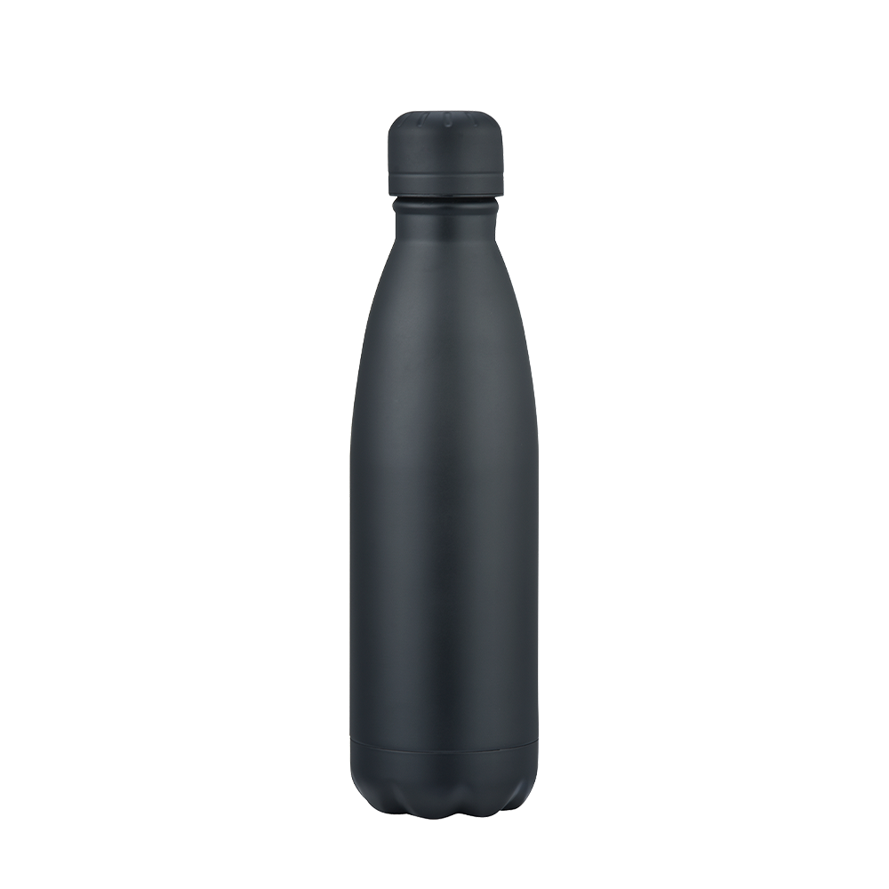 Vacuum Bottle | 17 oz