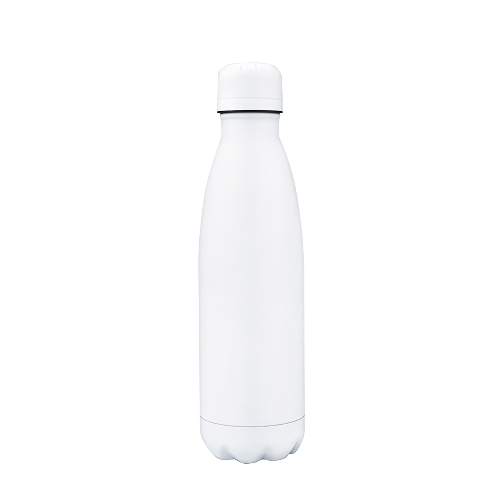 Vacuum Bottle | 17 oz