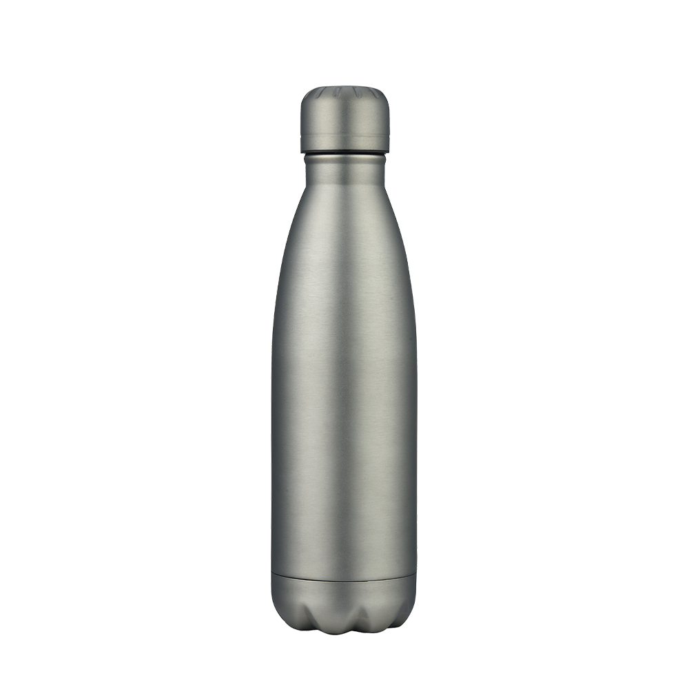 Vacuum Bottle | 17 oz
