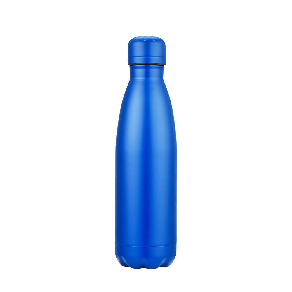 Vacuum Bottle | 17 oz